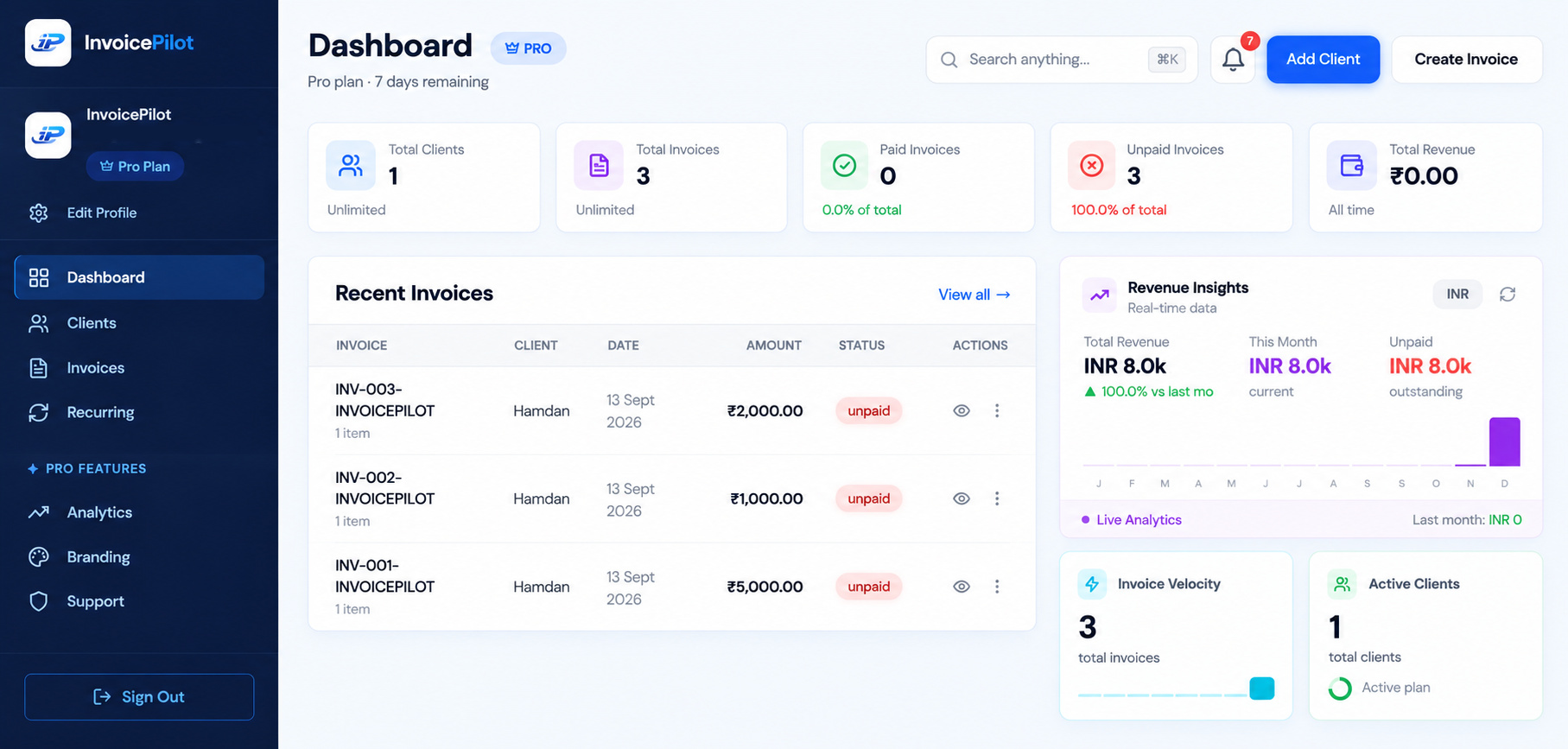 InvoicePilot dashboard showing total clients, invoices, revenue insights and recent activity